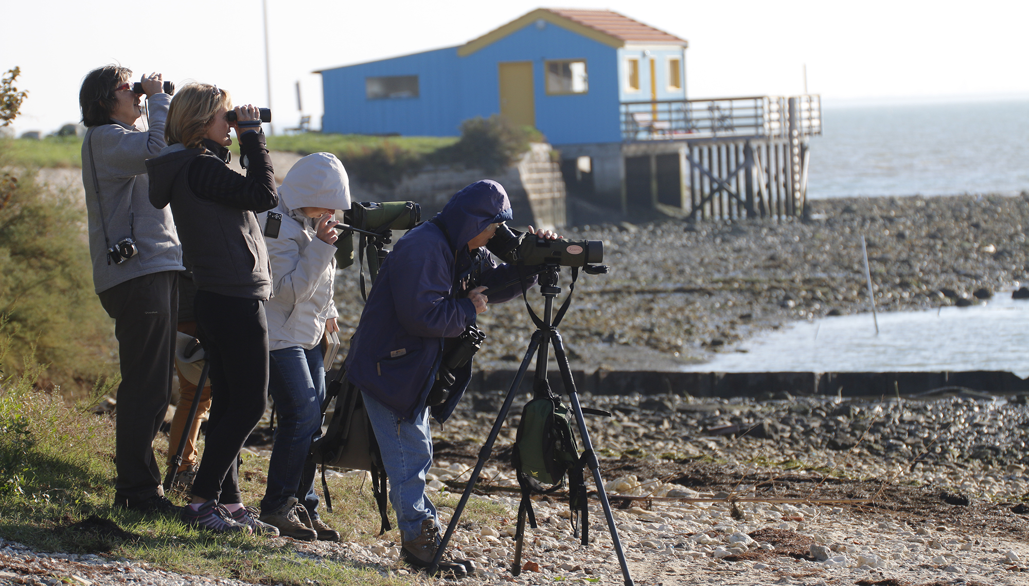Découverte des oiseaux de la reculée de Cussey-sur-Lison